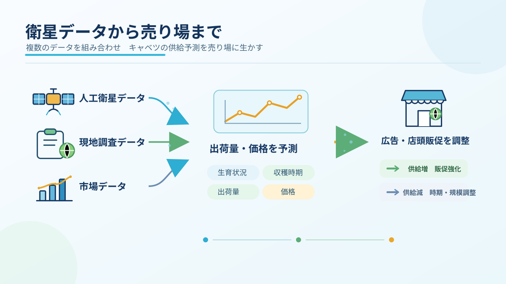 衛星データや現地調査、市場データからキャベツの出荷量と価格を予測し、広告や店頭販促へ反映する流れ