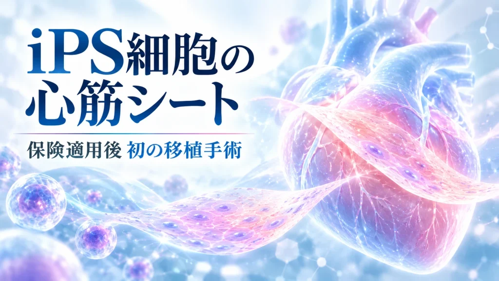 iPS細胞から作った心筋シートを心臓治療に用いる再生医療のイメージ
