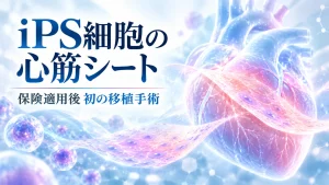 iPS細胞から作った心筋シートを心臓治療に用いる再生医療のイメージ