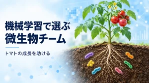 機械学習で選ばれた6種類の微生物が、トマトの根の周囲に集まる様子を表したイメージ画像